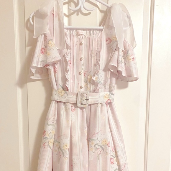 Liz Lisa Dresses & Skirts - Liz Lisa Sweet Flower Floral Bouquet Light Pink Sleeveless Dress Spring Easter